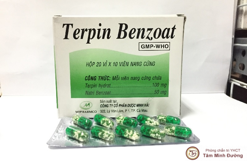 Terpin Benzoat là thuốc gì? Công dụng, thành phần và giá tiền
