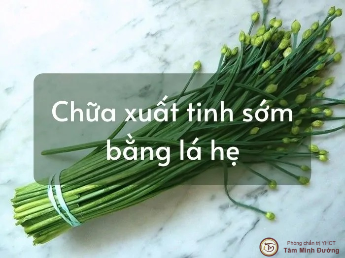 Chữa xuất tinh sớm bằng lá hẹ có hiệu quả không?