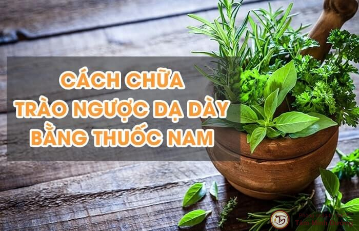 Có những cây thuốc nam nào được sử dụng trong việc điều trị trào ngược dạ dày?
