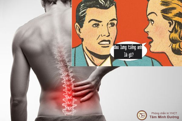 Tìm hiểu đau lưng trong tiếng anh là gì bạn cần biết