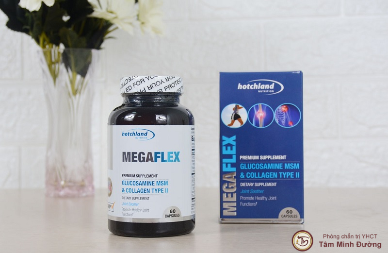 Thuốc trị đau lưng của Mỹ Megaflex 4646